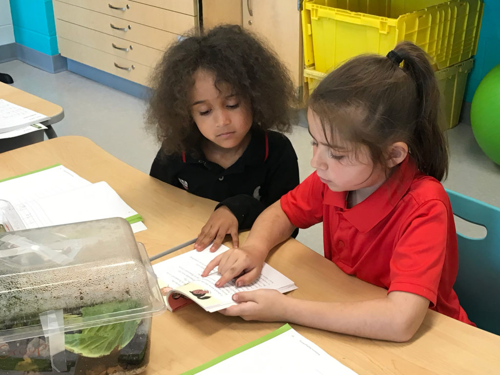 Laurel Elementary School Knowledge Matters