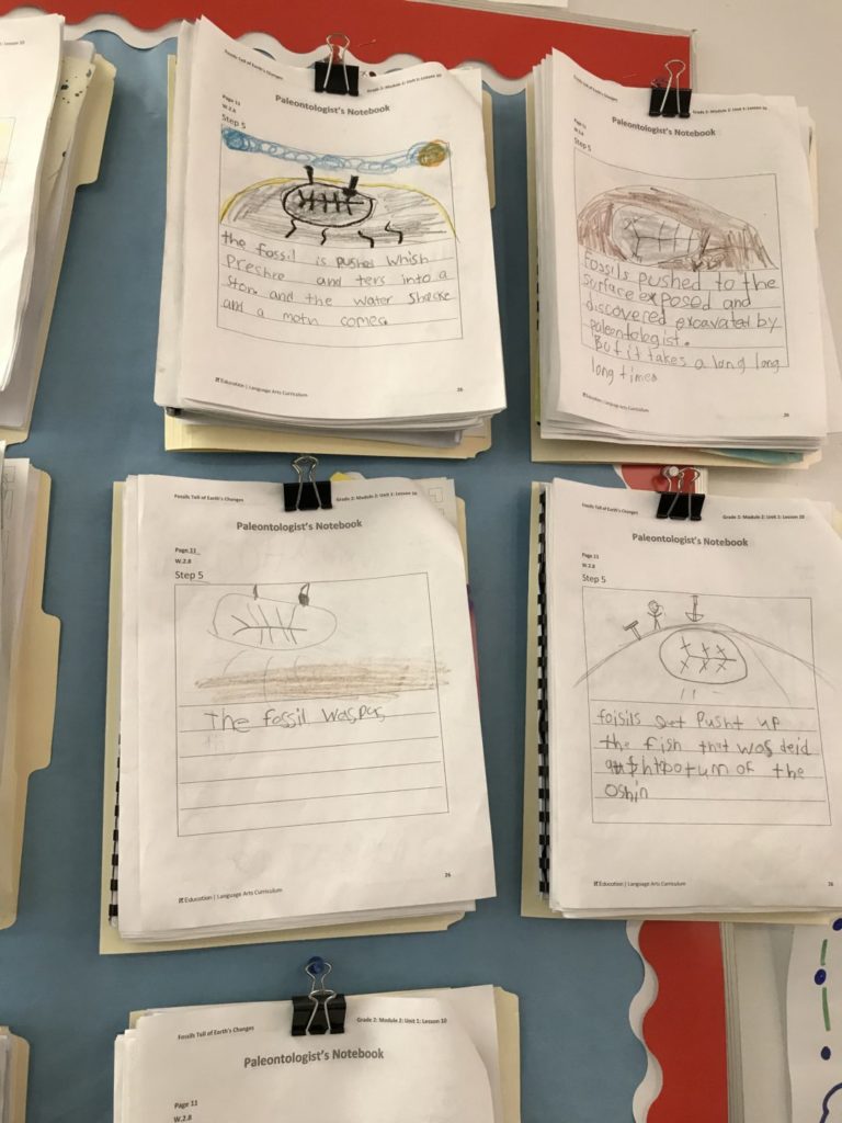 Paleontologists’ notebooks on display in Sarah Paone’s second grade class at Detroit Prep